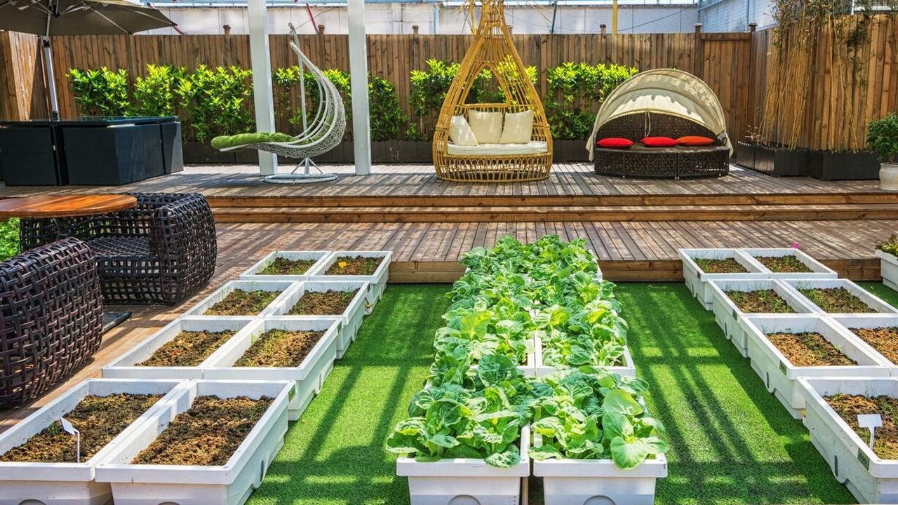 Cara Membuat Rooftop Garden yang Hemat Air dan Ramah Lingkungan, Bikin Rumah Lebih Adem dan Estetik