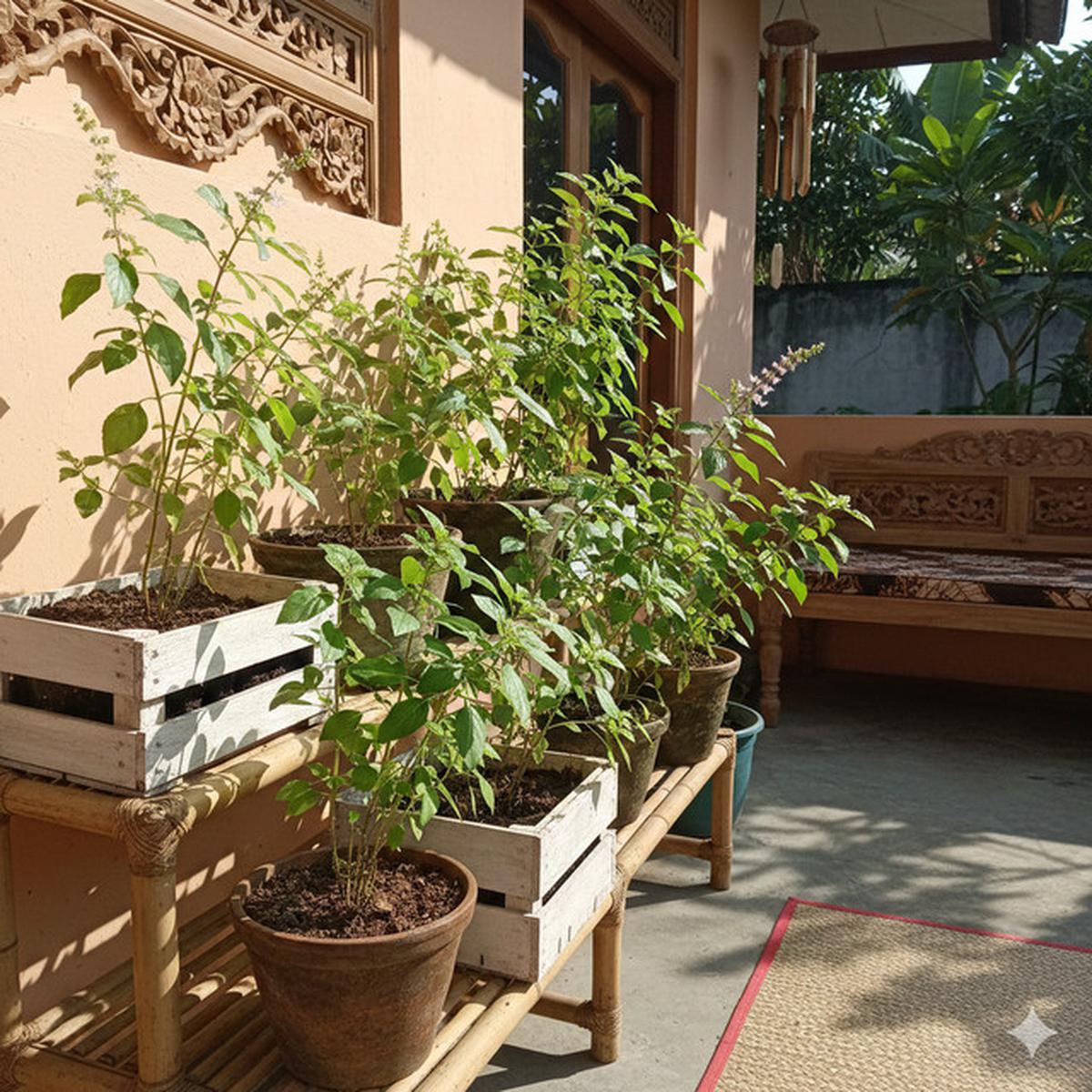 Kemangi