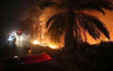 Sejumlah Daerah Dilanda Kebakaran Lahan Gambut