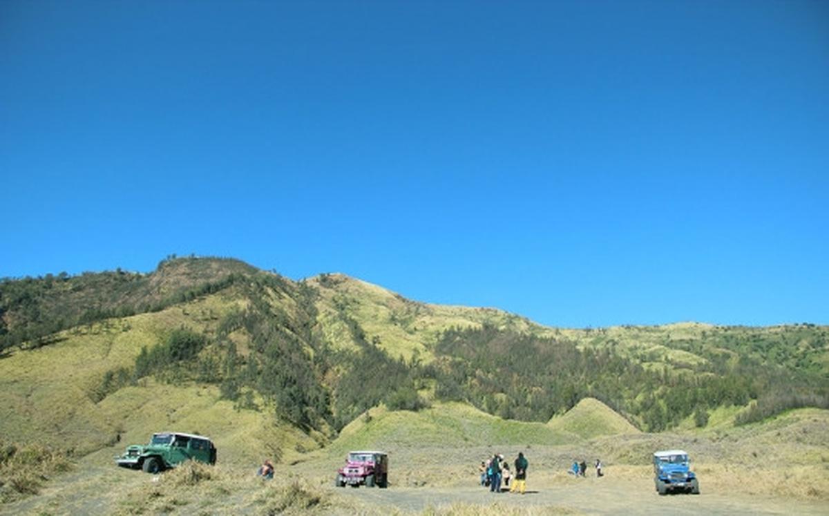 Memanjakan mata menikmati keindahan bukit 'Teletubbies' di Bromo