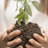 Sebuah komitmen jangka panjang dari Oriflame untuk menjaga dan melestarikan bumi.