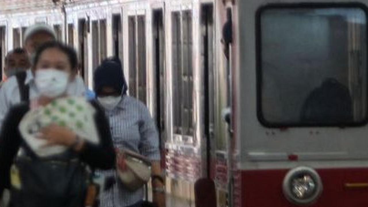 Kayu Besar Melintang di Rel Kranji Bikin KRL Bekasi-Kampung Bandan Terganggu, Ini Penampakannya