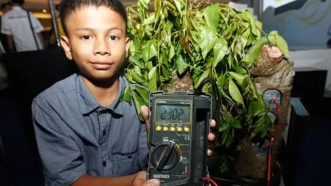 Bocah Aceh 15 Tahun Temukan Sumber Listrik dari Pohon Kedondong