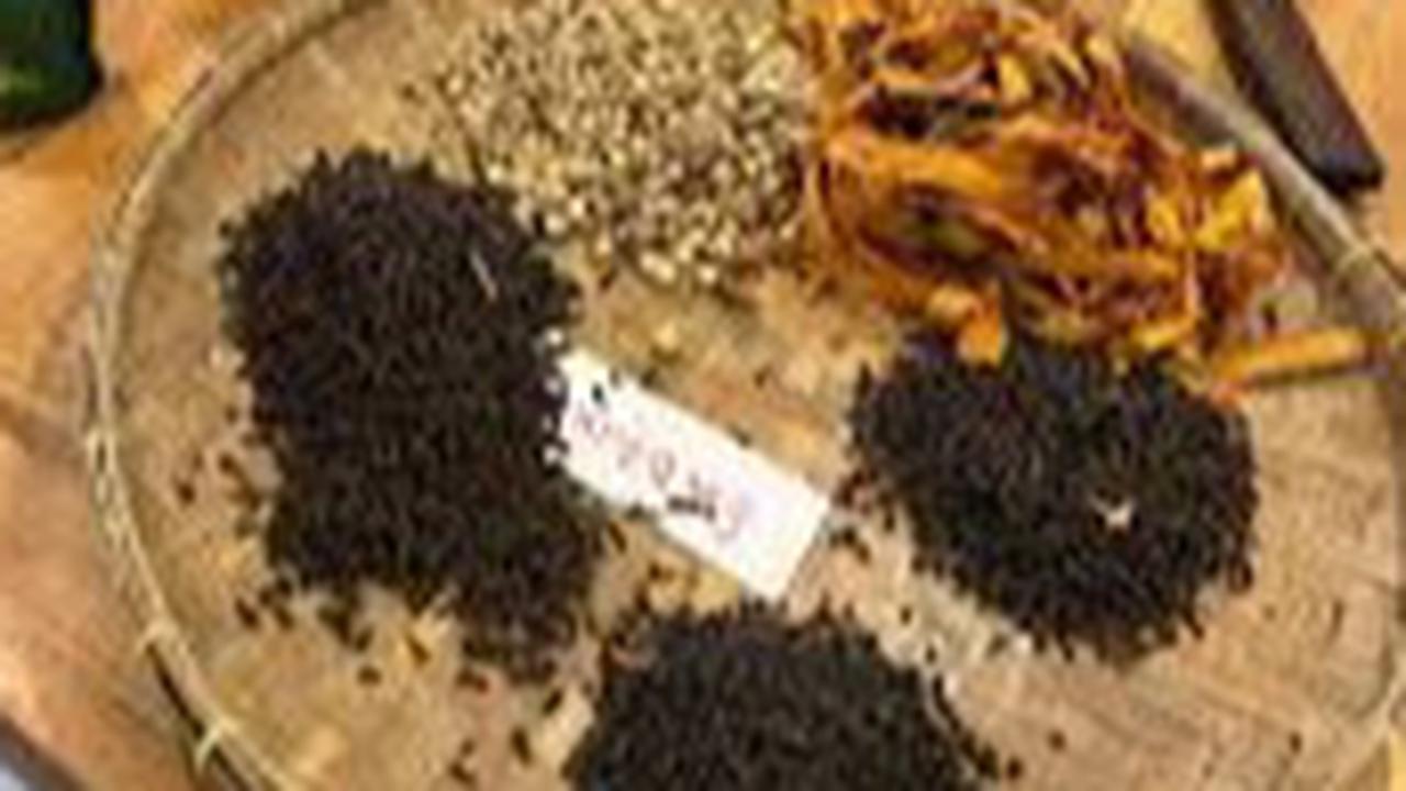 Dunia Herbal Sudah Diminati Anak Muda