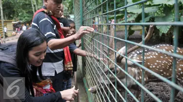 Sejumlah pengunjung memberi makan Rusa di Kebun Binatang Ragunan, Jakarta Selatan, Senin (12/12). Libur Maulid Nabi Muhammad SAW, Kebun Binatang Ragunan diserbu warga yang ingin menikmati waktu libur bersama keluarga. (Liputan6.com/Yoppy Renato)