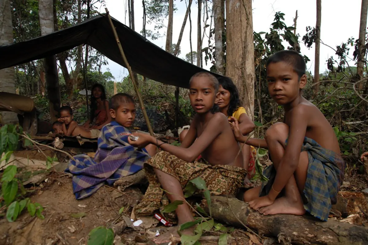 Orang Rimba