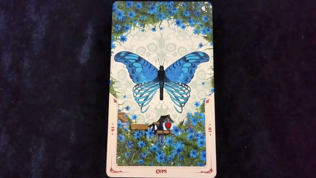 Tarot