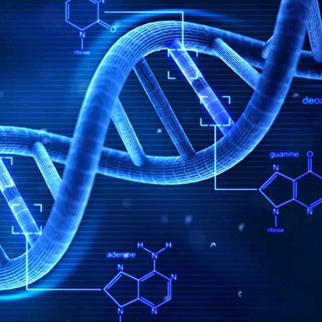 Tes Dna Bisa Dilakukan Saat Hamil Untuk Ketahui Ayah Janin Bayi Health Liputan6 