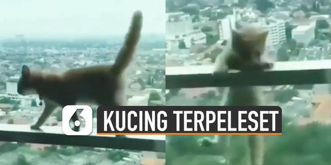 VIDEO: Bikin Deg-Degan, Kucing Terpeleset di Balkon Apartemen