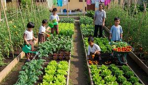 Ide Kebun Sayur di Halaman Panti Asuhan/AI
