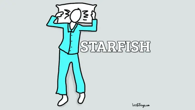 copyright by Littlethings.com