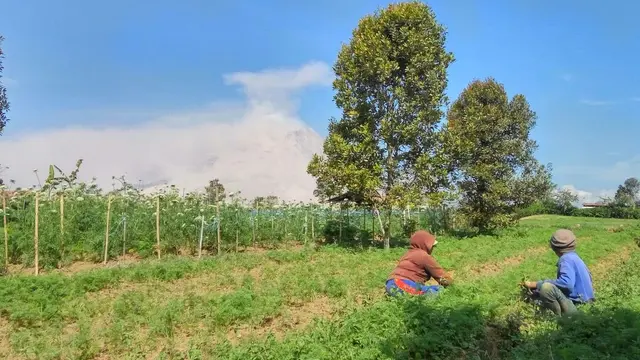 Gunung Sinabung