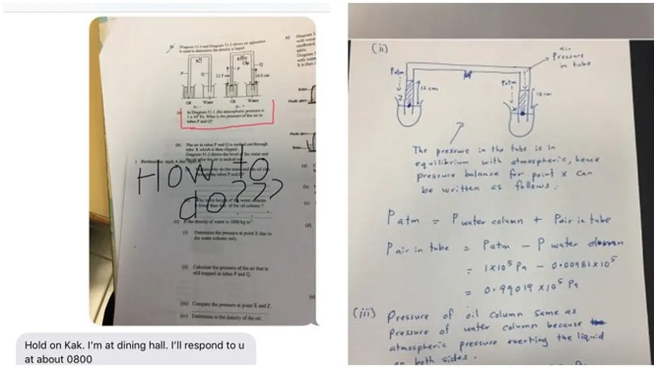 Viral, Begini Aksi Kocak Ayah Diminta Tolong Anak Kerjakan Soal Fisika
