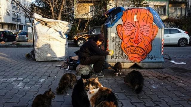 Kucing Liar Di Turki