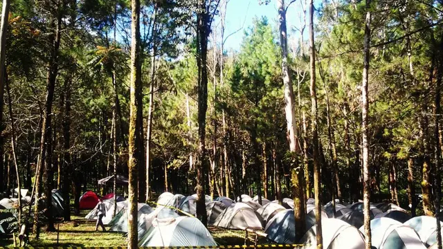 Southland Camp (foto: IG/southlandcamp022)