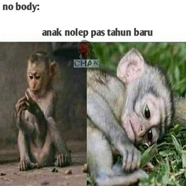 6 Meme Tahun Baru 2020 Ini Bikin Tersenyum Senang Hot