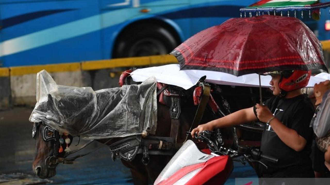 BMKG: Prakiraan Cuaca Jakarta Kamis, Sebagian Wilayah Berpotensi Hujan Ringan