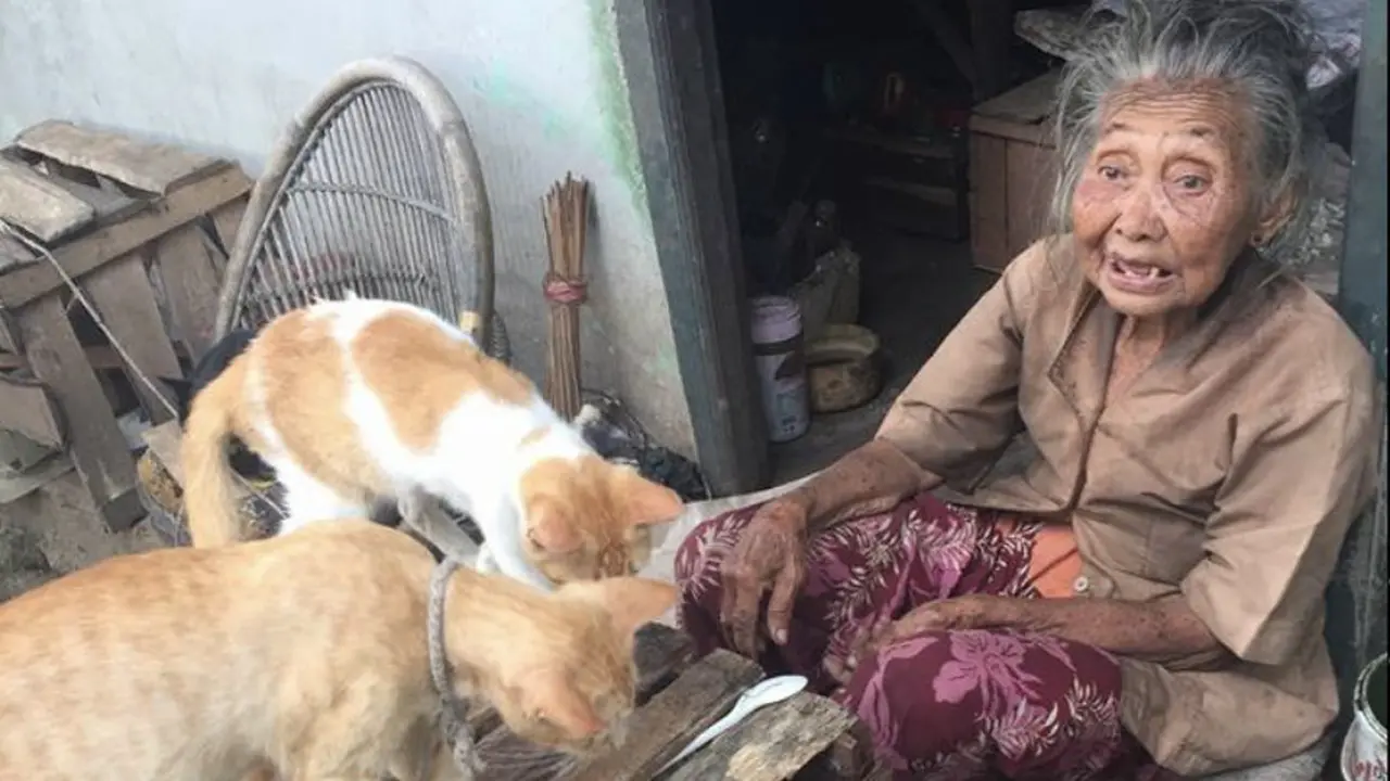 Hidup dengan Keterbatasan, Nenek Ini Tetap Menampung Kucing