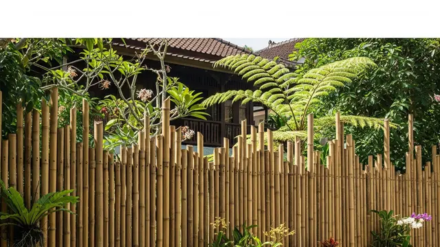 Langkah Membuat Pagar Kebun Rumah dari Bambu/Ilustrasi Gemini AI