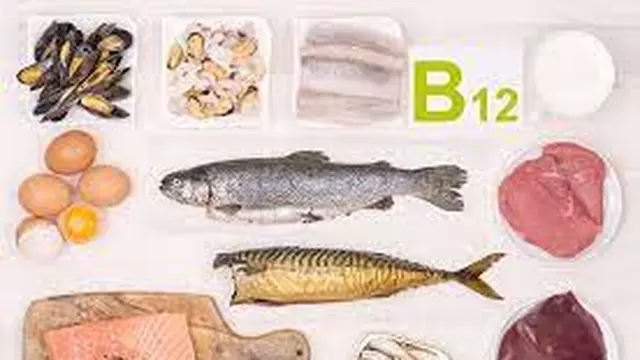 Ilustrasi sumber makanan yang mengandung Vitamin B12 (Sumber: Halodoc.com)