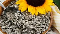 6 Biji-Bijian Lezat yang Bisa Ditanam di Kebun, Camilan Kaya Nutrisi