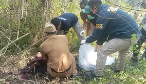 Misteri Kerangka Manusia di Kebun Jati Sukabumi Akhirnya Terungkap
