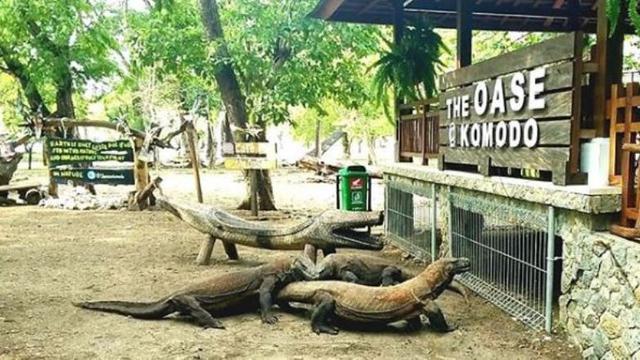Taman Nasional Komodo