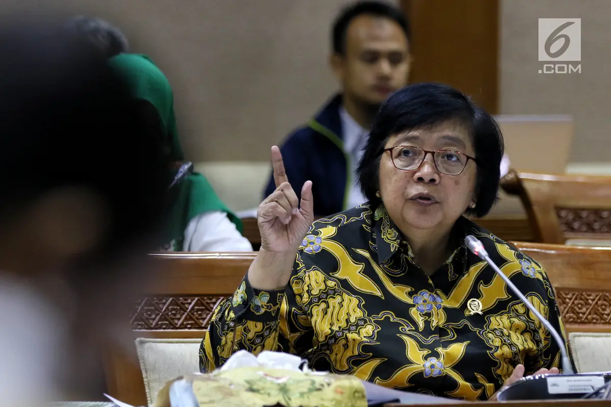 Menteri LHK Bahas Isu Tambang dan Sampah Plastik Bersama DPR