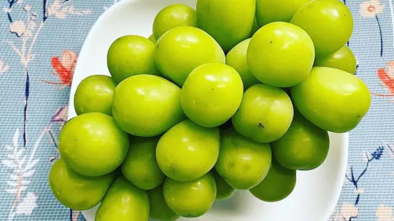 Gara-Gara Thailand, Malaysia Ikut Selidiki Kandungan Berbahaya di Anggur Shine Muscat Impor
