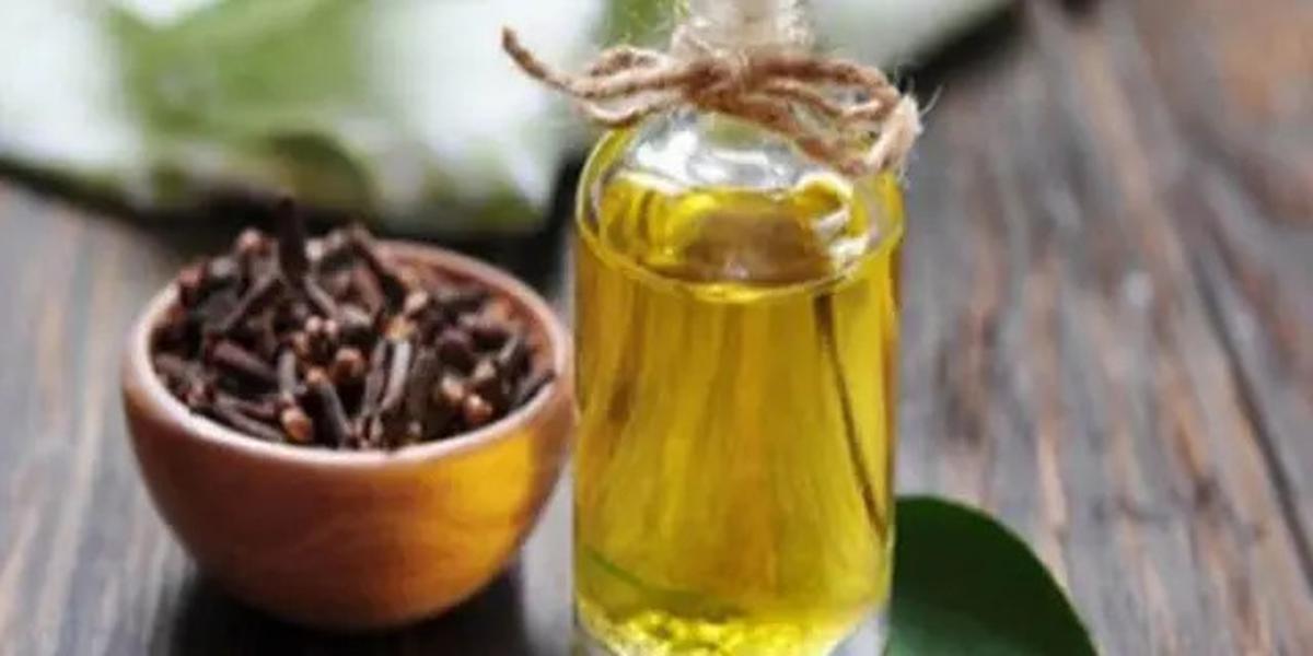 Ternyata Bau-Bauan Ini Bisa Mengusir Ular Secara Alami