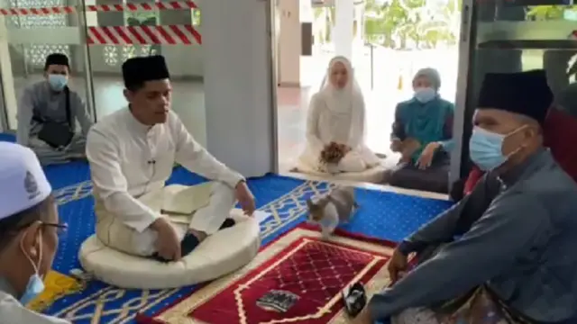 Viral Kucing Ikut Saksikan Akad Nikah, Warganet: Minta Nikah Juga