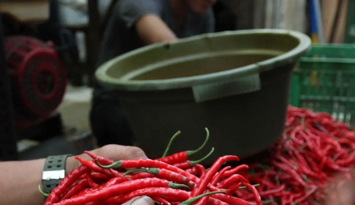 Pedangan memilah cabai merah di  sebuah pasar di Jakarta, Kamis (11/1). Cabai mengalami kenaikan harga sebesar Rp 20 ribu hingga Rp 30 ribu per kilogram. (Liputan6.com/Angga Yuniar)