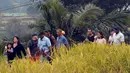 Mantan Presiden AS Barack Obama dan rombongan beristirahat setelah berjalan-jalan melewati lapangan mengunjungi lokasi wisata Jatiluwih di Tabanan, Bali Minggu (25/06). Obama berjalan mengenakan kaos polo biru (AFP/STR)