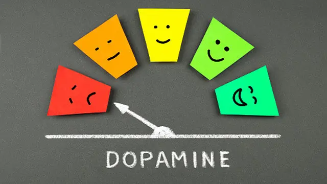 Ilustrasi Dopamine (sumber: unsplash)