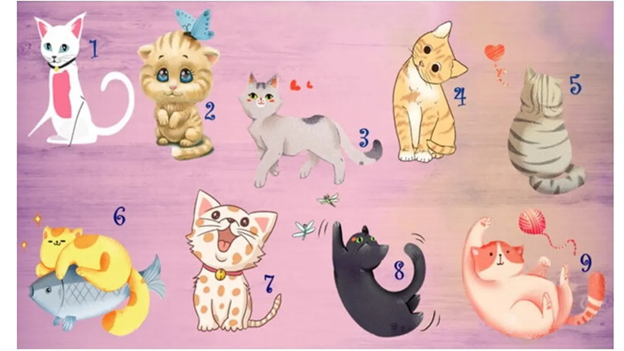 Pilih Satu Gambar Kucing Ini Dapat Ungkap Keterampilanmu dalam Komunikasi