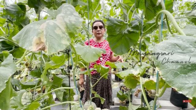 8 Potret Mayangsari saat Pulang ke Purwokerto, Perlihatkan Kebunnya yang Luas