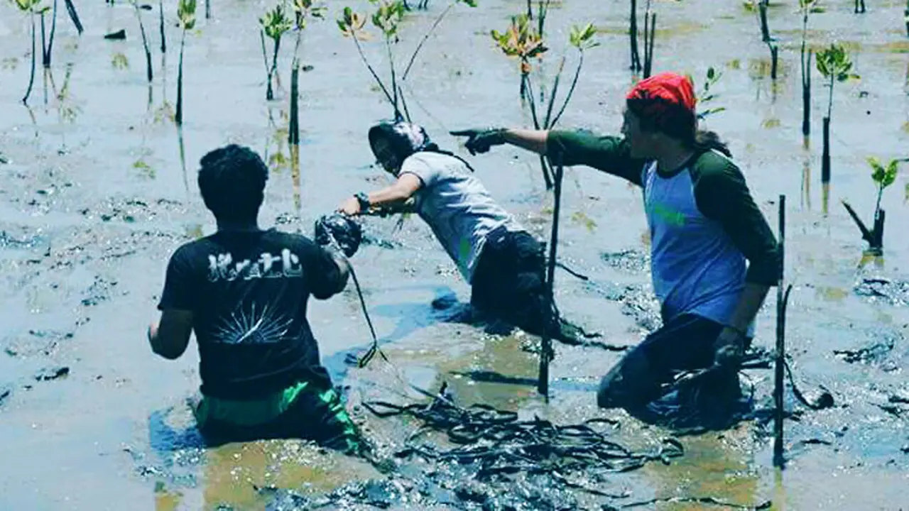 Hari Pohon Sedunia