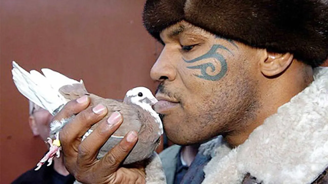 mike-tyson1-130828b.jpg