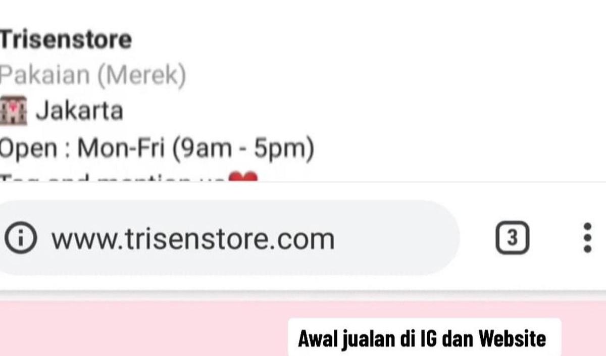 Jual Produk Lewat Instagram dan Website Pribadi