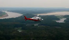 Brasil Tekan Deforestasi Amazon ke Level Terendah, Bukti Hutan Bisa Diselamatkan