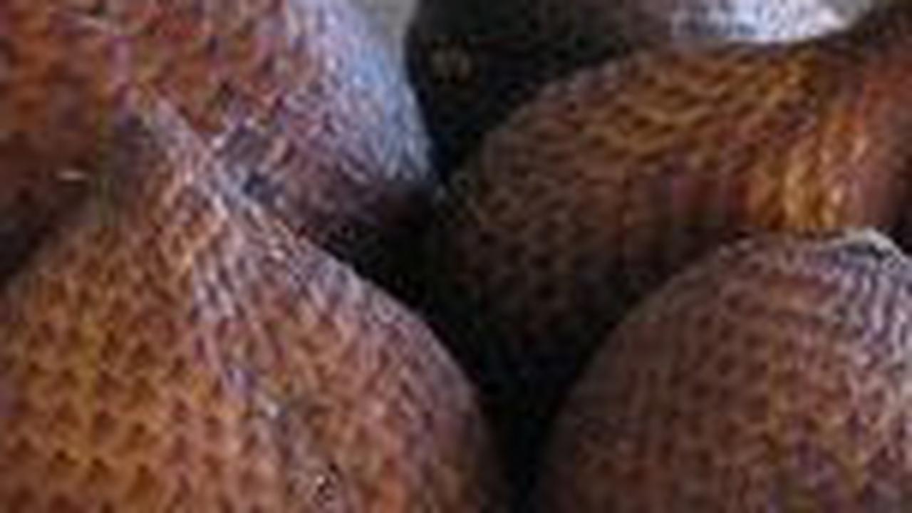 2. Pantangan Buah Salak<br>