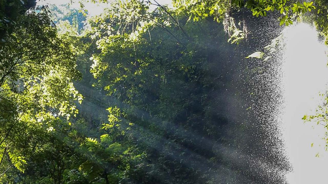 FOTO: Pesona Curug Walet yang Tersembunyi di Kaki Gunung Salak Bogor, Cantiknya Sungguh Menawan