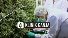 THUMBNAIL KLINIK GANJA