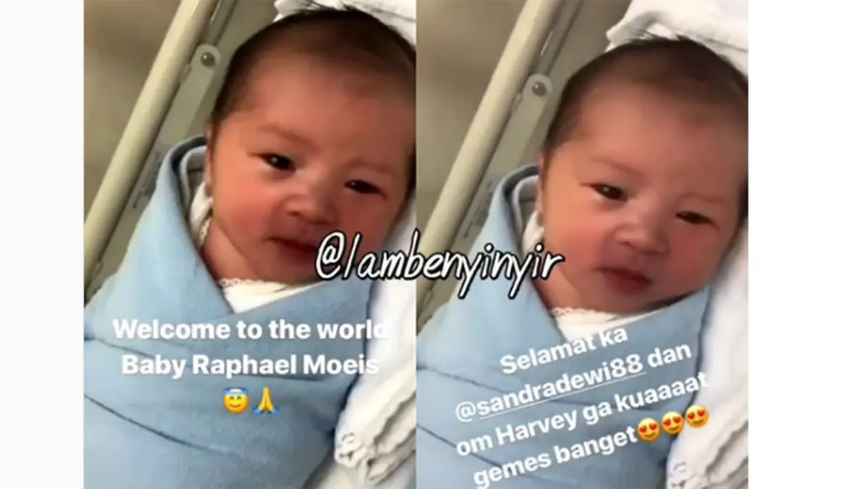 Di salah satu akun gossip di Instagram pun terdapat wajah mungil bayi laki-laki yang tertulis namanya adalah Raphael Moeis, anak Sandra Dewi dan Harvey Moeis. (Instagram/lambenyinyir)