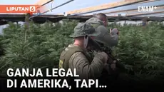 38 dari seluruh 50 negara bagian di AS melegalkan ganja setidaknya untuk keperluan medis, tapi di wilayah-wilayah inipun belum tentu semua orang bisa begitu saja menanam dan jual beli ganja. Kultivasi ganja diregulasi di tingkat negara bagian, dan pr...