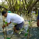 Penanaman 300 Pohon Mangrove di Kawasan Ekowisata Wonorejo