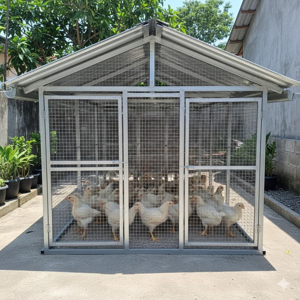 9 Desain Kandang Ayam Baja Ringan: Solusi Modern untuk Peternakan Rumahan