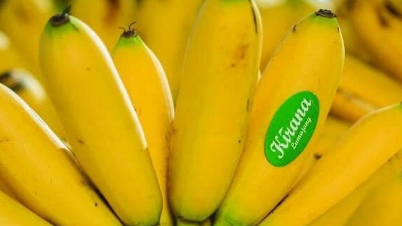 Mencicipi Pisang Mas Kirana Lumajang, Buah Favorit Warga Eropa hingga Tiongkok