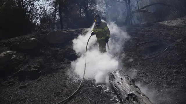 Pemadam kebakaran memadamkan kebakaran hutan di dekat Yerussalem, Israel pada 1 Mei 2025. (AP/Ohad Zwigenberg)