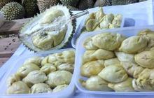 Perdana, 48 Ton Durian Beku Indonesia Resmi Masuk Pasar China